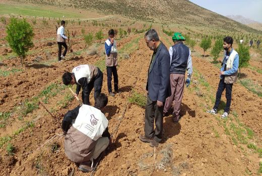 اجرای پویش ملی ایران سبز(هر ایرانی یک درخت)