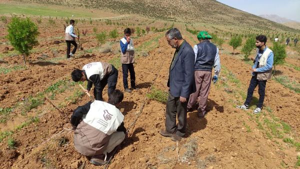 اجرای پویش ملی ایران سبز(هر ایرانی یک درخت)