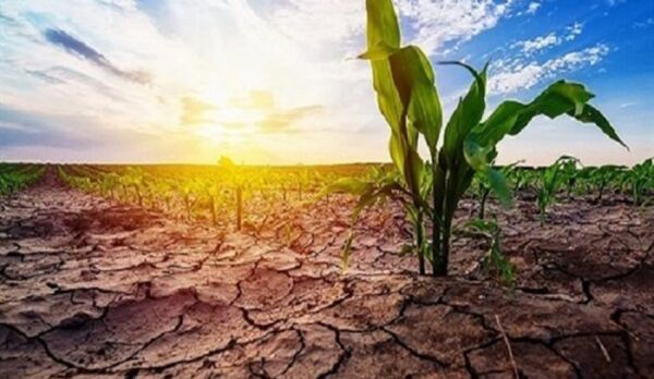 گروه ملی خشکسالی انگلیس: از اکنون برای حفاظت از آب برنامه‌ریزی کنید