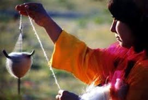 تولید بیش از 1400 تن پشم توسط جامعه عشایری فارس 