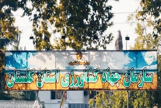 امتیاز عالی سازمان جهادکشاورزی گلستان در ارزیابی عملکرد ۱۴۰۱ وزارت جهادکشاورزی