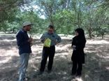 امضای قرارداد با ۹ کلینیک گیاه‌پزشکی برای مدیریت تلفیقی آفات در آذربایجان شرقی 