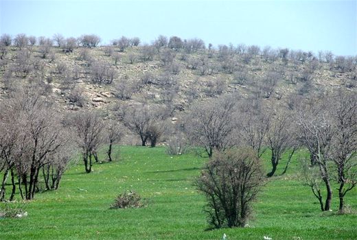 ایران 5 درجه گرم‌تر می‌شود