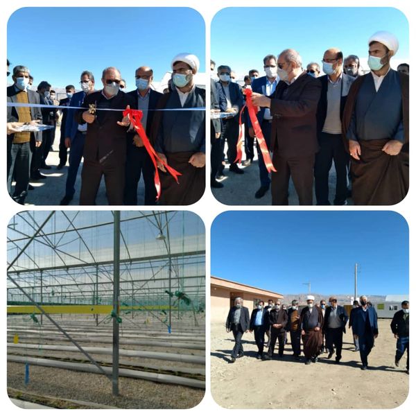 طرح مجتمع محصولات گلخانه ای هیدرو پونیک بخش صالح آباد افتتاح شد.
