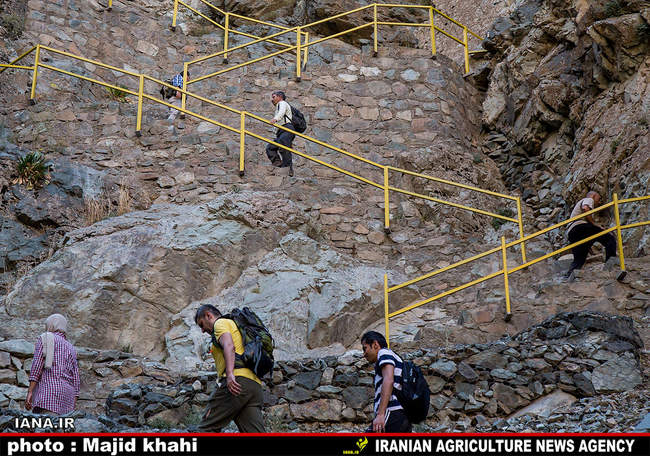 کوه پیمایی