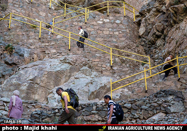 کوه پیمایی