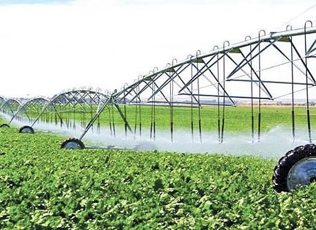 مصرف آب دربخش کشاورزی استان تهران کمتر از ۴۵ درصد است