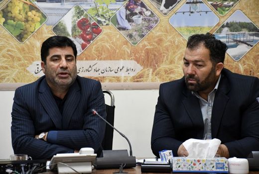 پیشنهاد تخصیص آرد نیمه یارانه ای به نانوایی هایی که نان با سبوس بالا می پزند