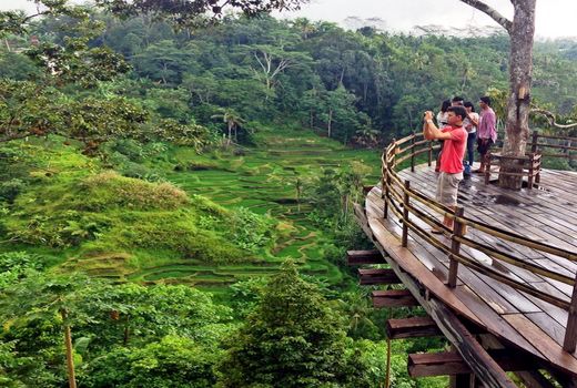 هشت مقصد برتر گردشگری کشاورزی جهان