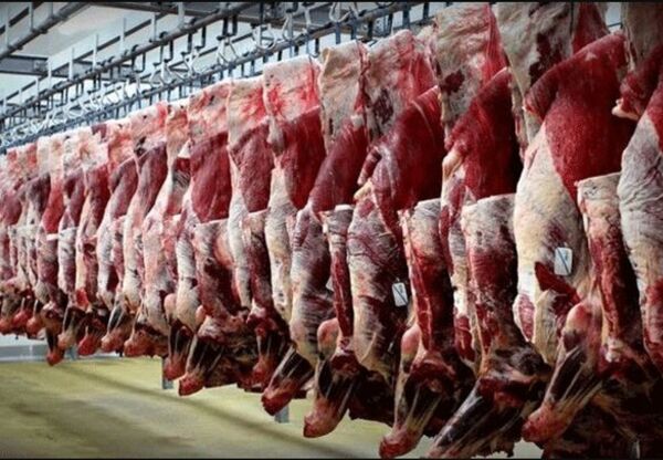 زنجیره گوشت قرمز تولیدی عشایر آذربایجان غربی تکمیل می‌شود