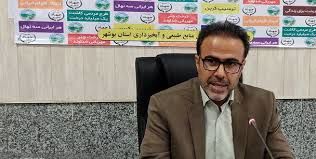 تداخل اراضی ۴ پلاک در شهرستان تنگستان پس از یک دهه تعیین‌تکلیف شد