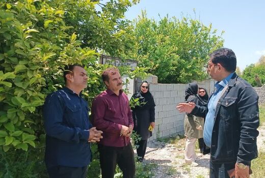 کشت ارقام اقتصادی انگور در کهگیلویه و بویراحمد با هدف افزایش راندمان تولید
