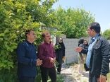 کشت ارقام اقتصادی انگور در کهگیلویه و بویراحمد با هدف افزایش راندمان تولید