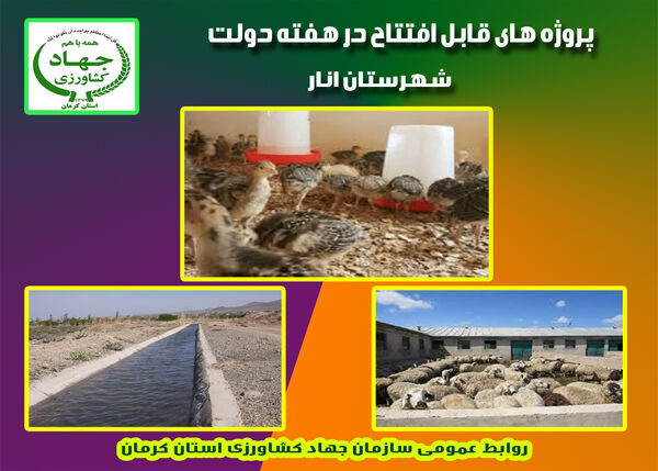 چهار طرح دامپروری و آب و خاک شهرستان انار در هفته دولت به بهره برداری می‌رسد