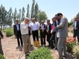 سفر دکتر خاوازی معاون وزیر جهاد کشاورزی و رئیس سازمان تحقیقات، آموزش و ترویج کشاورزی به استان اردبیل