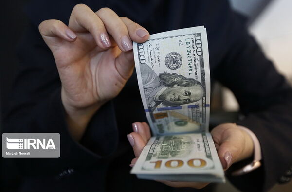 حذف ارز ترجیحی برای تولید بلاست یا برکت؟