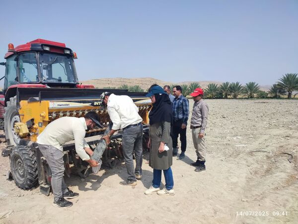 اجرای طرح انتخاب مشارکتی ارقام  کنجد در شهرستان کازرون