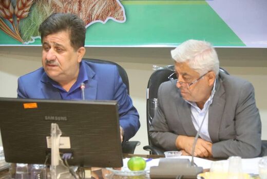  طرح ملی گندم بنیان مهمترین طرح در استان خوزستان است