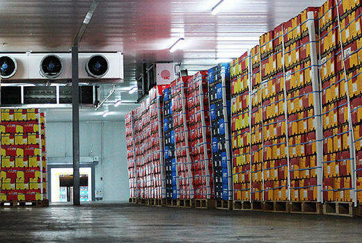 کیفیت بخشی به تجهیزات سردخانه ای آذربایجان غربی ضروری است