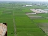 صدور ۴۸۲ فقره سند مالکیت برای اراضی کشاورزی شهرستان اسکو در نیمه نخست سال ۱۴۰۴