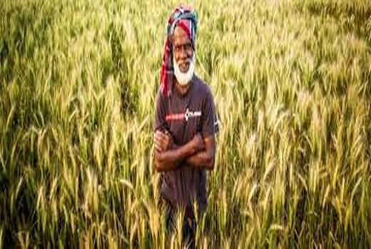 رونق تجارت کشاورزی در بنگلادش 