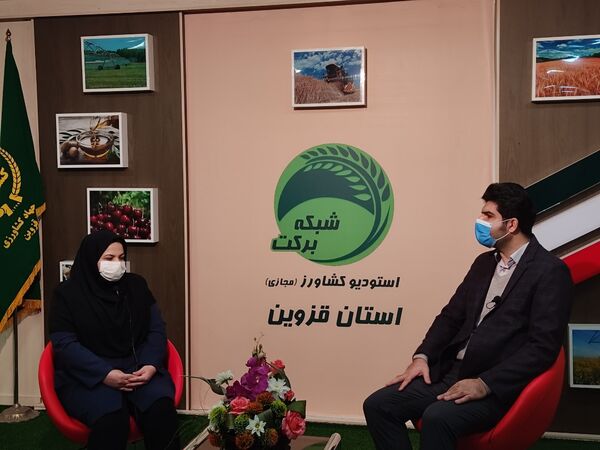بررسی "روند صدور مجوزهای واحدهای تولید قارچ و گلخانه‌ها" در برنامه استودیو کشاورز استان قزوین