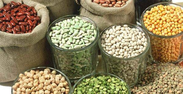 هند در تولید دانه‌های روغنی و خوراکی خودکفا می‌شود/ دولت بر دوبرابر شدن درآمد کشاورزان تا سال 2022 اقدام می‌کند/ 600 مرکز توسعه کشاورزی در هند برای افزایش بهره‌وری راه‌اندازی شد