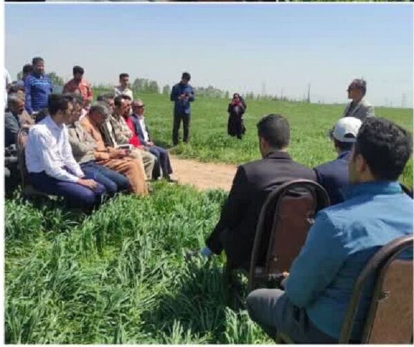 اجرای کاروان ترویج الگوی کشت محصولات زراعی در کردستان 
