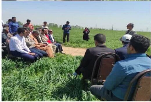 اجرای کاروان ترویج الگوی کشت محصولات زراعی در کردستان 

