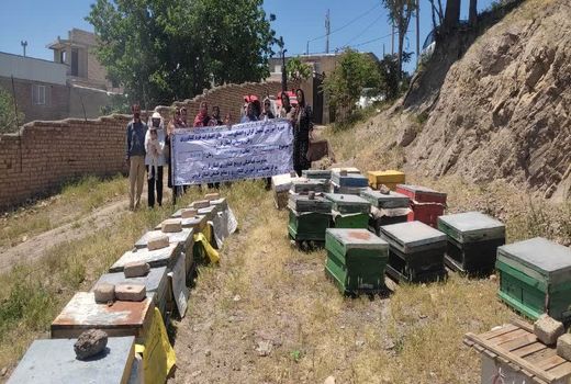 گسترش مهارت‌های کارآفرینی زنان روستایی شهرستان آبیک با آموزش زنبورداری