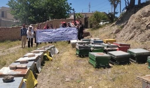 گسترش مهارت‌های کارآفرینی زنان روستایی شهرستان آبیک با آموزش زنبورداری