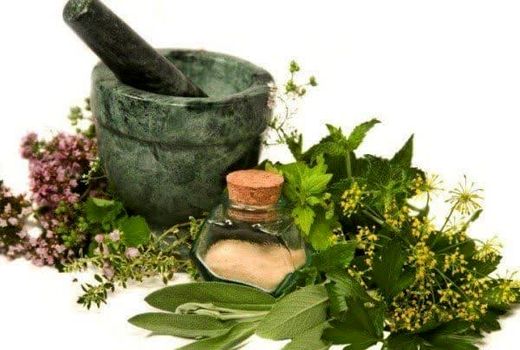 فارس رتبه اول کشور در کشت گیاهان دارویی 