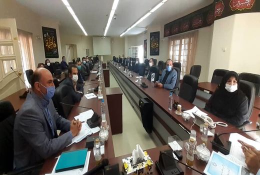 از طرح‌های احداث گلخانه و تولید محصولات کشاورزی به شیوه‌های نوین حمایت می‌کنیم