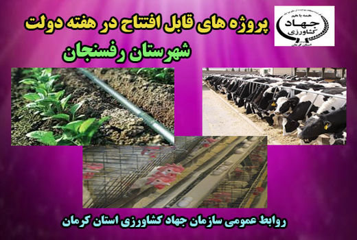 بهره برداری از شانزده طرح آب و خاک و دامپروری شهرستان رفسنجان در هفته دولت 