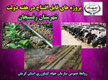 بهره برداری از شانزده طرح آب و خاک و دامپروری شهرستان رفسنجان در هفته دولت 