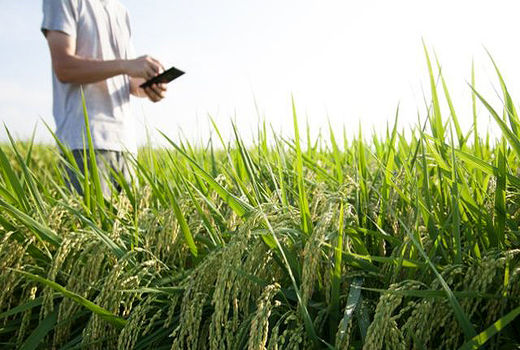 استارت آپ‌ها به کمک توسعه روستاها می‌آیند