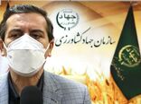 توزیع برنج و مرغ منجمد در فروشگاه‌های کردستان