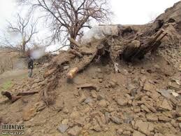 خسارت سیل و بارندگی به بخش کشاورزی شهرستان ارزوئیه