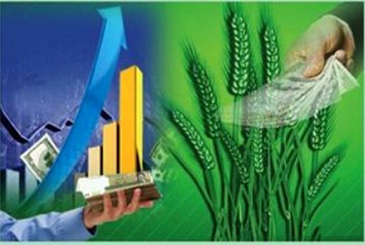 اهمیت بازاریابی محصولات کشاورزی 