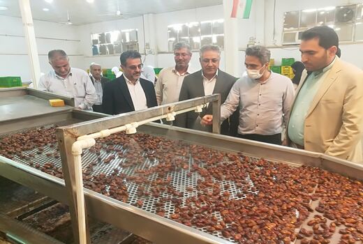 بازدید کمیسیون کشاورزی مجلس  از کارگاههای بسته بندی خرما و نخیلات خوزستان 