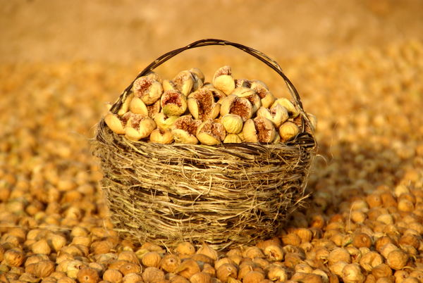  95درصد صادارات انجیر کشور به استهبان تعلق دارد