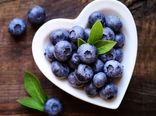 کمبود خاک اسیدی علت اصلی پرورش بلوبری در گلخانه