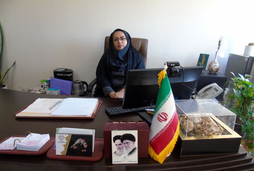 توسعه کشت گیاهان کم‌آب‌بر در استان بوشهر/ الگوی کشت اصلاح می‌شود