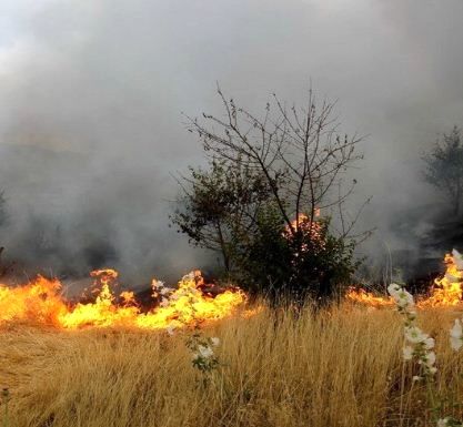 خسارت آتش به منابع طبیعی خراسان شمالی نصف شد