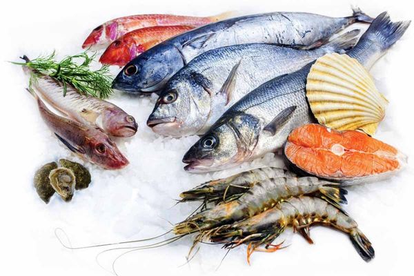 صادرات آبزیان از ۴۵۰ میلیون دلار عبور کرد