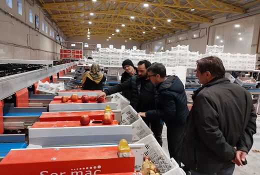 ظرفیت واحدهای بسته‌بندی میوه تازه آذربایجان غربی افزایش می‌یابد