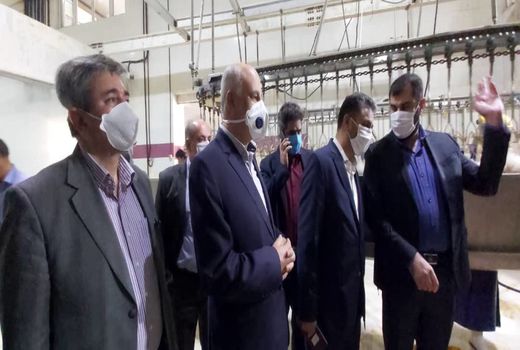 مشاور  وزیر جهاد کشاورزی از کشتارگاه صنعتی طیور در گرمسار بازدید کرد