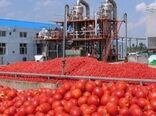 احداث کارخانه تولید رب گوجه فرنگی در شهرستان دیر