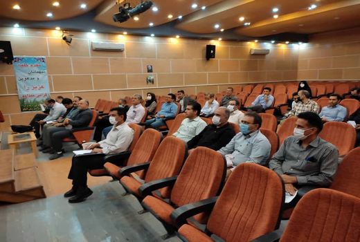 جلسه کشت محصولات کشاورزی شهرستان آبیک در سال زراعی آینده برگزارشد