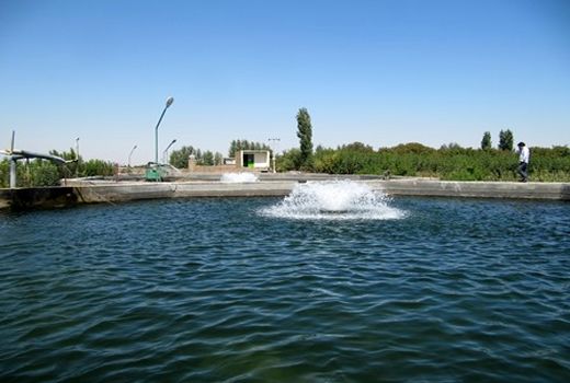 پرداخت ۳۵۰۰ میلیارد ریال تسهیلات سرمایه در گردش به واحدهای بخش کشاورزی استان قزوین